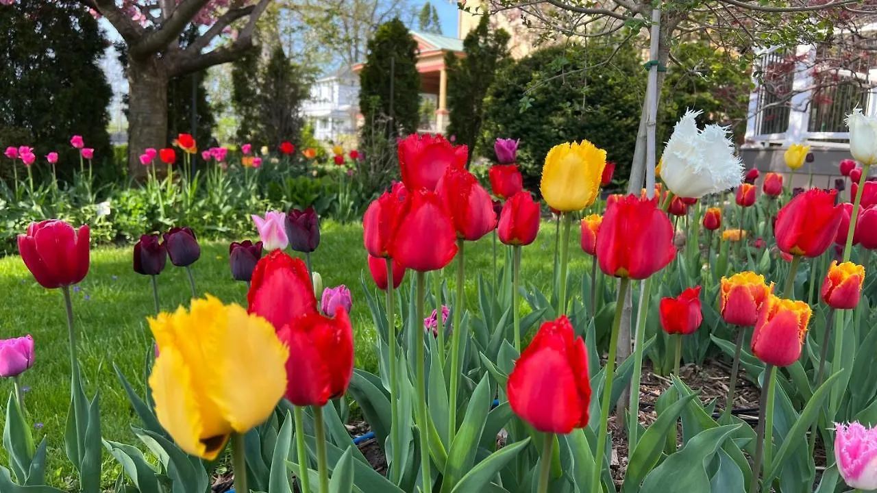 *** Bed & Breakfast Bedham Hall B&B Niagara Falls Canada